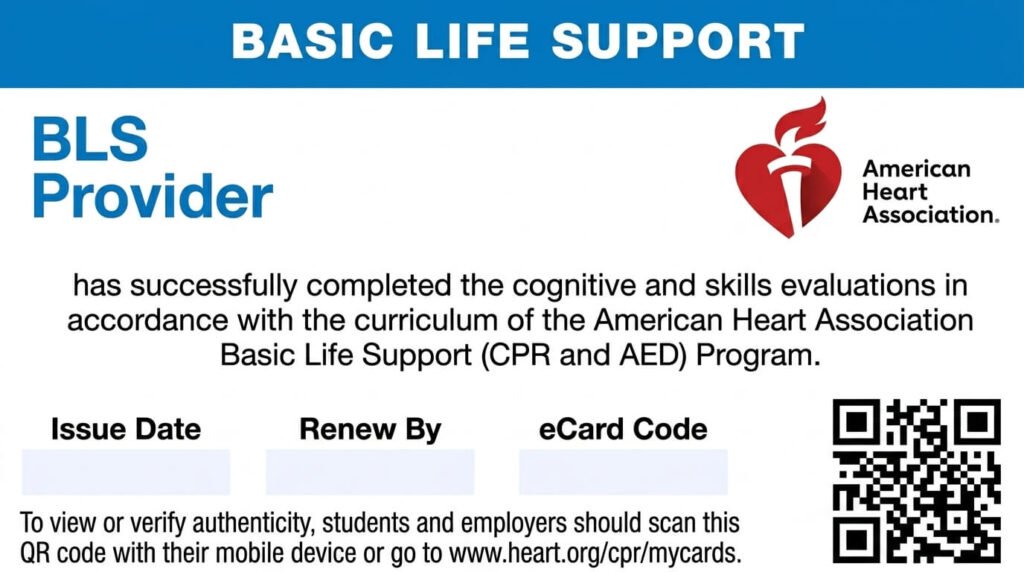 Basic Life Support Certification